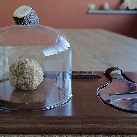 Villetta Rosso Rubino Vignale Monferrato Bagian luar foto